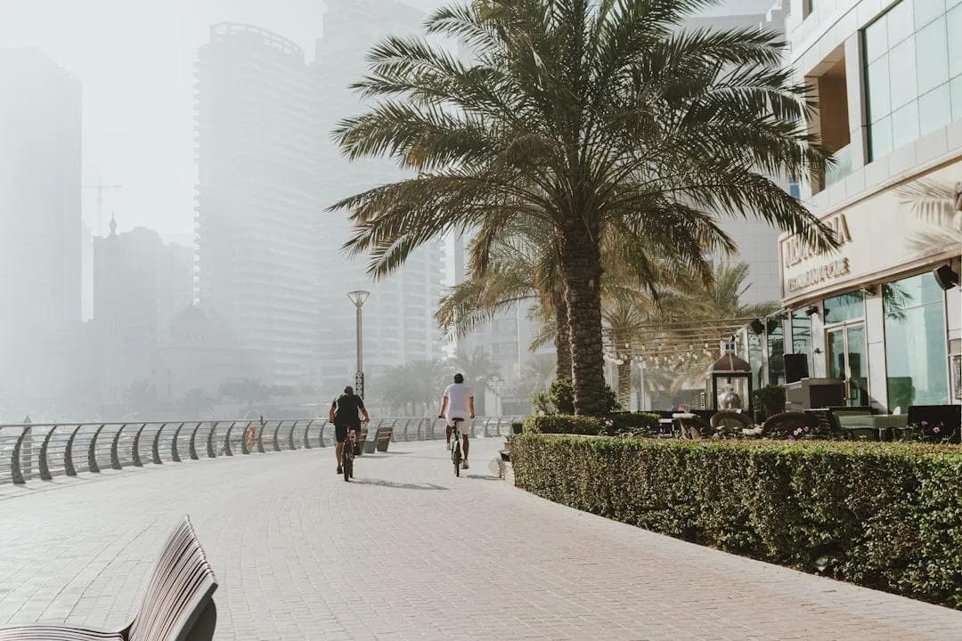Business professionals in a Dubai office — Meydan Dual License