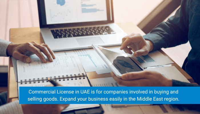 Business Licenses in UAE